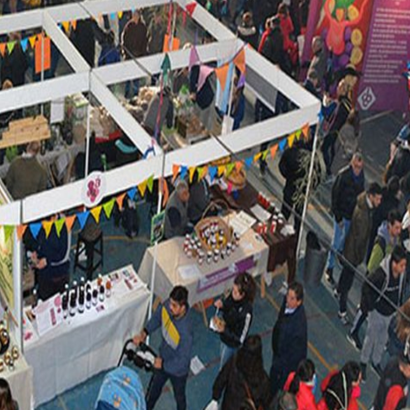 Fiesta Provincial del Vino: Se viene la carrera de Cros Aventura