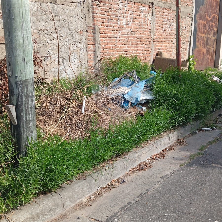 Vecinos reclaman por la falta del barrio y limpieza que llega en los impuestos