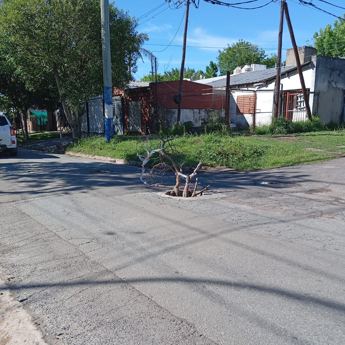 116 y 89 se robaron la tapa de cloacas y exponen a vecinos a accidentes