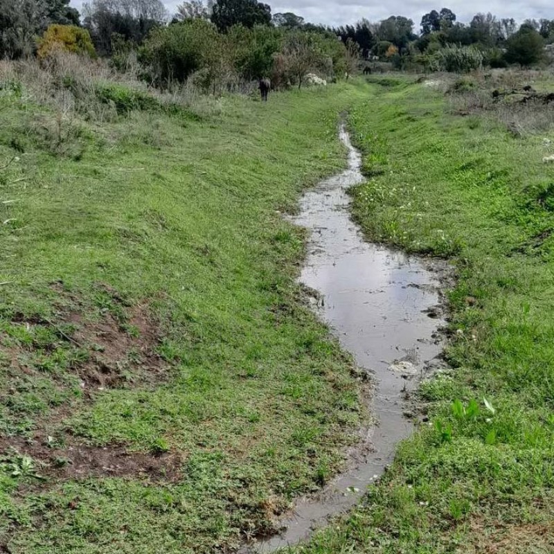 Espacio del arroyo donde la vecina acusa que allí solamente se hace limpieza