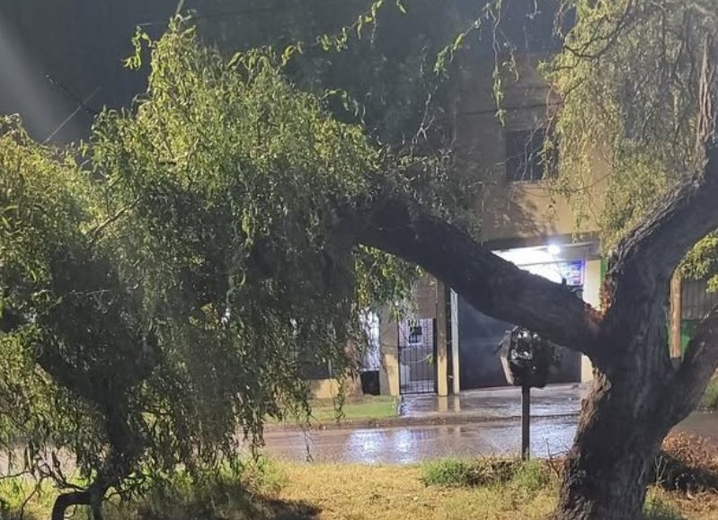 Arboles y postes caídos tras el paso de la última tormenta