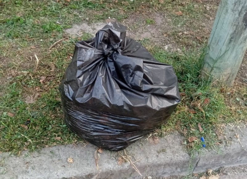 El Municipio trabaja en el Casco de Villa Elvira cortando pasto y haciendo limpieza