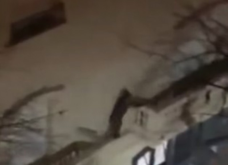 Hombres arañas detenidos en Parque Saavedra eran de Villa Elvira