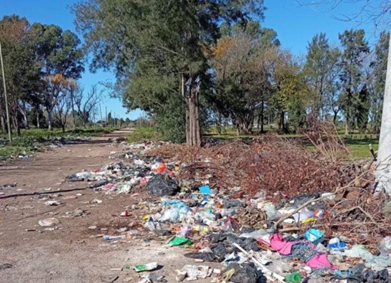 Concejal libertaria pidió por resolución la erradicación de basural en Villa Alba
