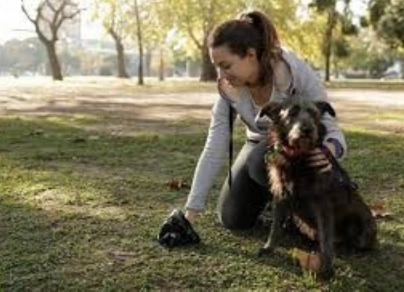 Vecino se quejó de aquellos que sacan a sus perros a espacios públicos y no llevan bolsa para levantar las heces