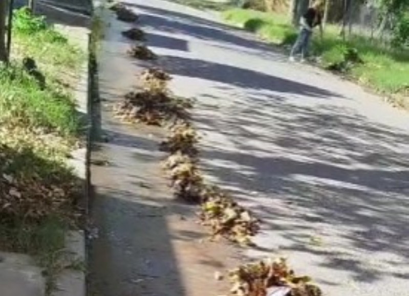 Preocupa la falta de limpieza en un barrio local