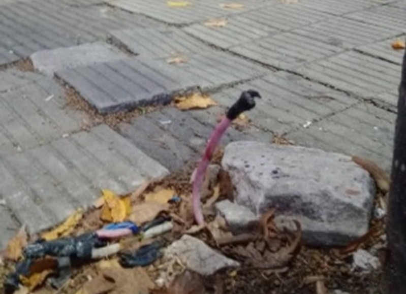 Alerta por un cable suelto en la vereda a metros de un Jardín de Infantes