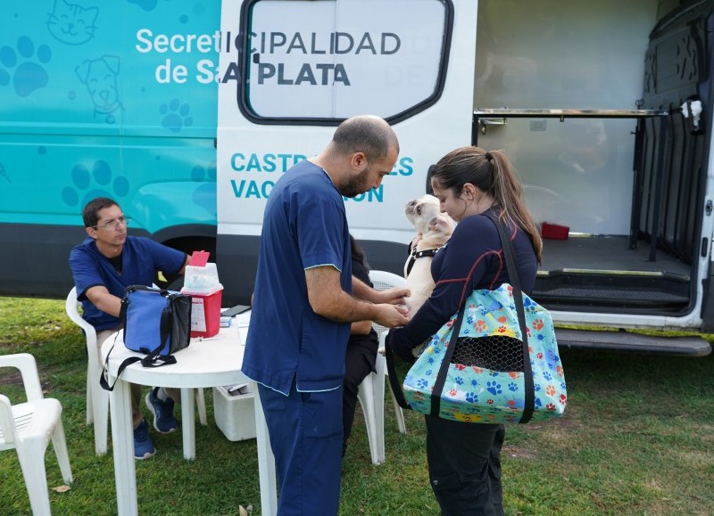 Doble jornada de vacunación y castración animal en la delegación comunal de Villa Elvira