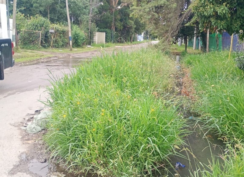 Cruce de calle tapado y maleza en la línea municipal