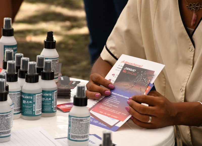 El Municipio intensificó las tareas de prevención contra el dengue