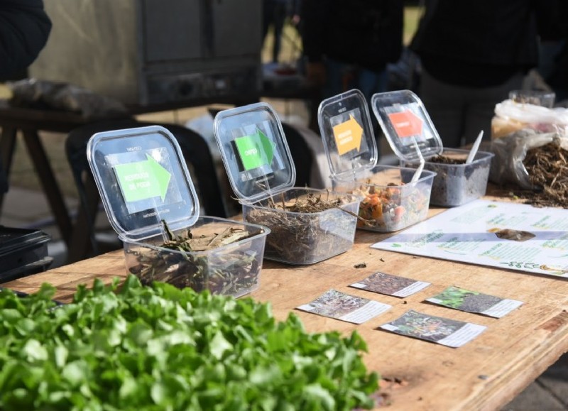 Hoy en la Casa Ecológica: se conmemora el Día del Ambiente
