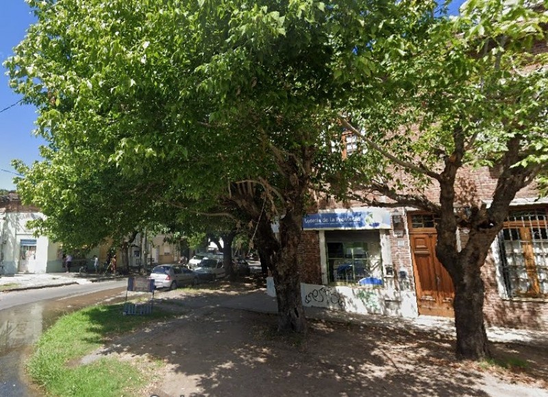 Reclaman por la poda de árboles frente a la Estación Circunvalación: las ramas ya están envueltas en los cables