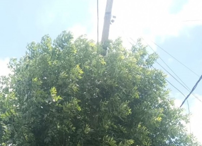 Movistar retiró el poste roto: Vecino agradeció la difusión de NVE