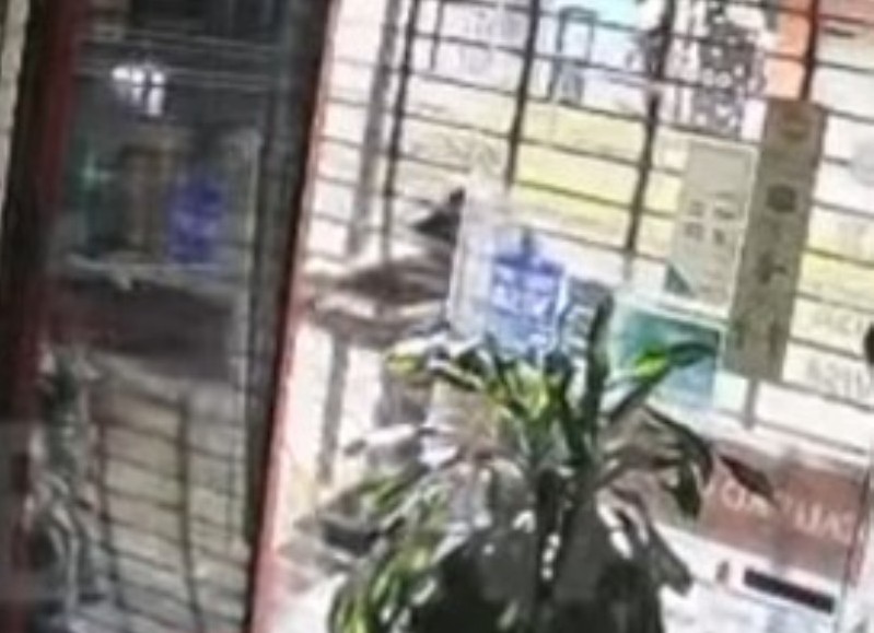 Inseguridad : Robaron una carnicería en Avenida 13 entre 72 y 73