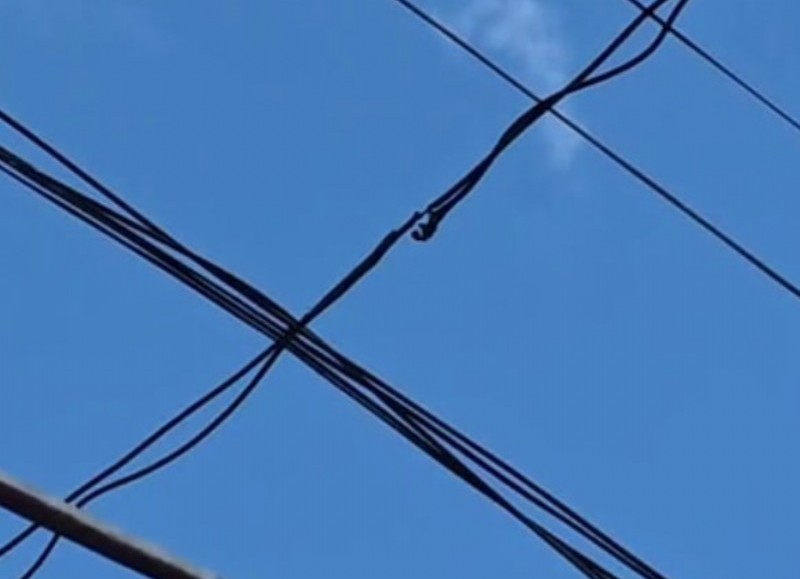 Vecino de 96 entre 12 y 13 denuncia que EDELAP no atiende sus reclamos por el cableado