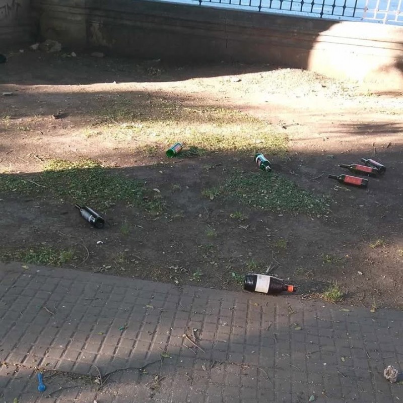 Restos de botellas de vino