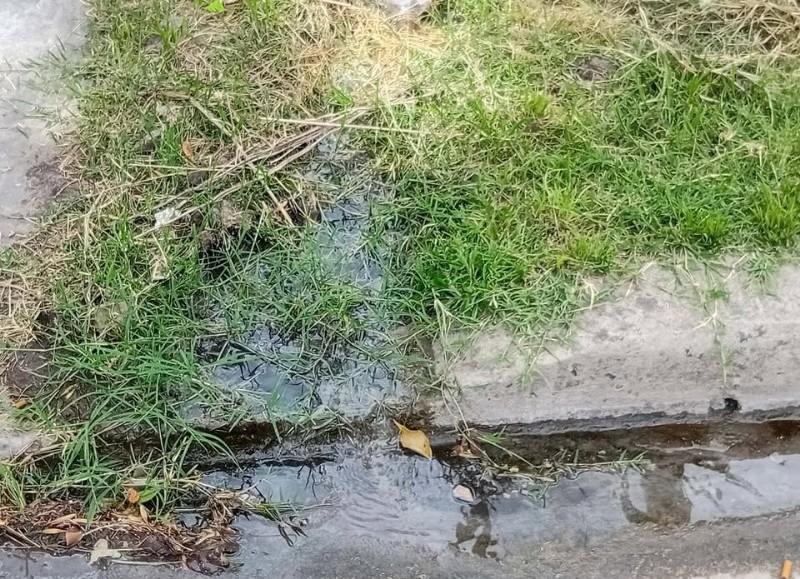 El agua servida recorre todo el barrio