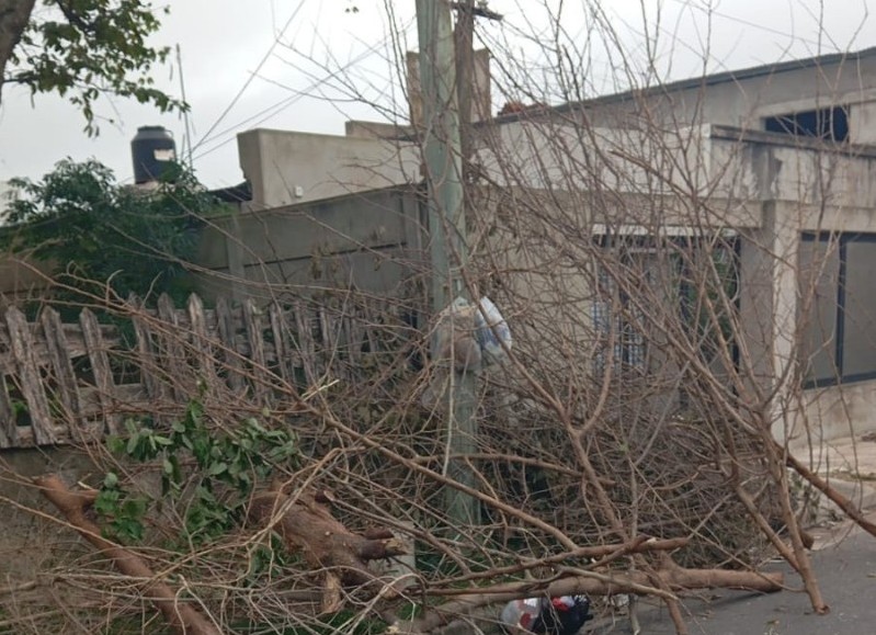 Por acción u omisión debe haber un responsable para que la basura se quede sin recoger