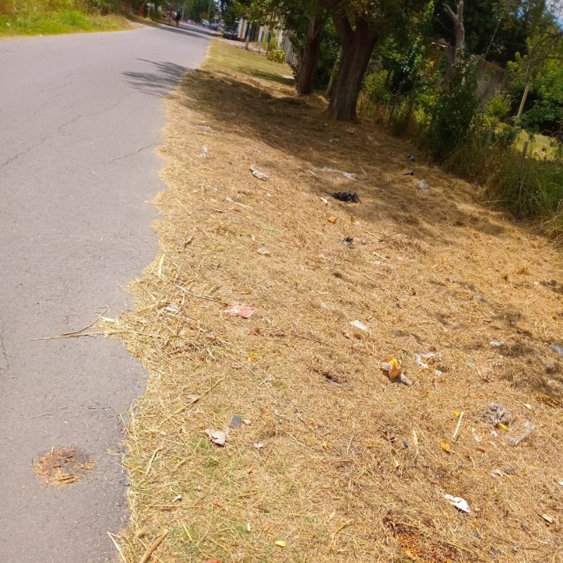 Limpieza generada por vecinos