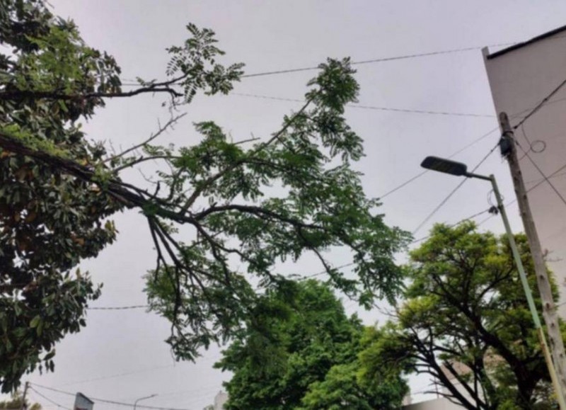 Quejas por ramas sobre el tendido electrico en cercanías de una Estación de Servicio