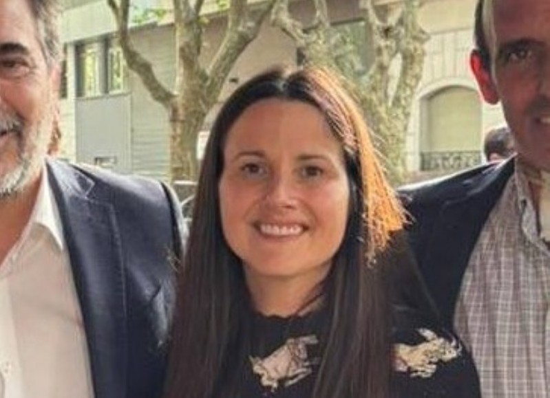 Concejo Deliberante: Piden reemplazar la plantación de plátanos en la ciudad por las alergias