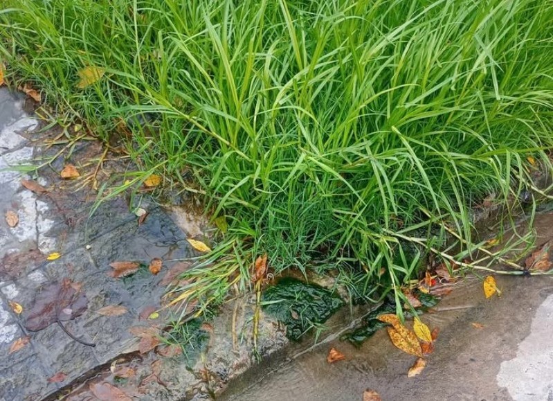 Barrio Monasterio: Reclamo por una pérdida de agua en 78 bis entre 10 y 11 B