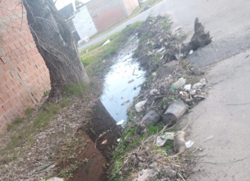 Una buena y una mala: Vecinos contentos con la limpieza pero les dejaron el retiro en la esquina