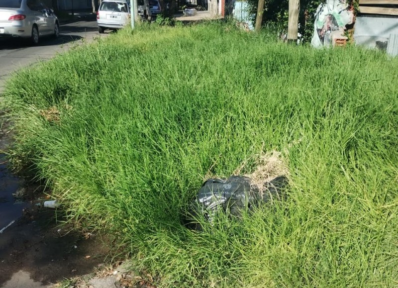 Aprovecharon para tirar bolsas con mugre