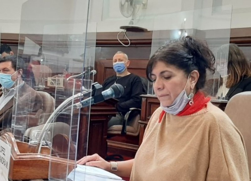 Organizaron una campaña solidaria en ayuda de una ex concejal y su hijo discapacitado