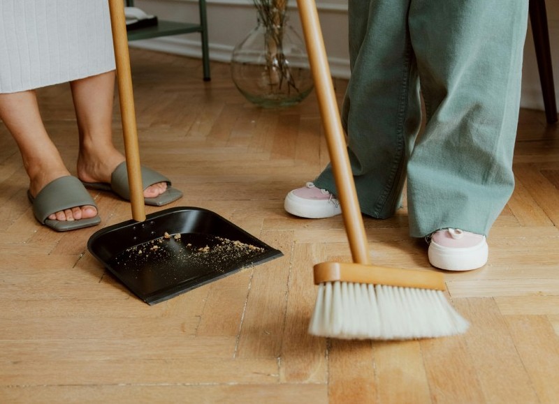 Información precisa para prevenir el Hantavirus