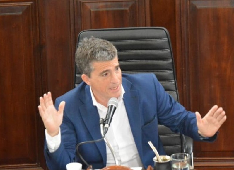 Oficialismo y oposición coincidieron en la incorporación de armas no letales para los agentes de seguridad municipales