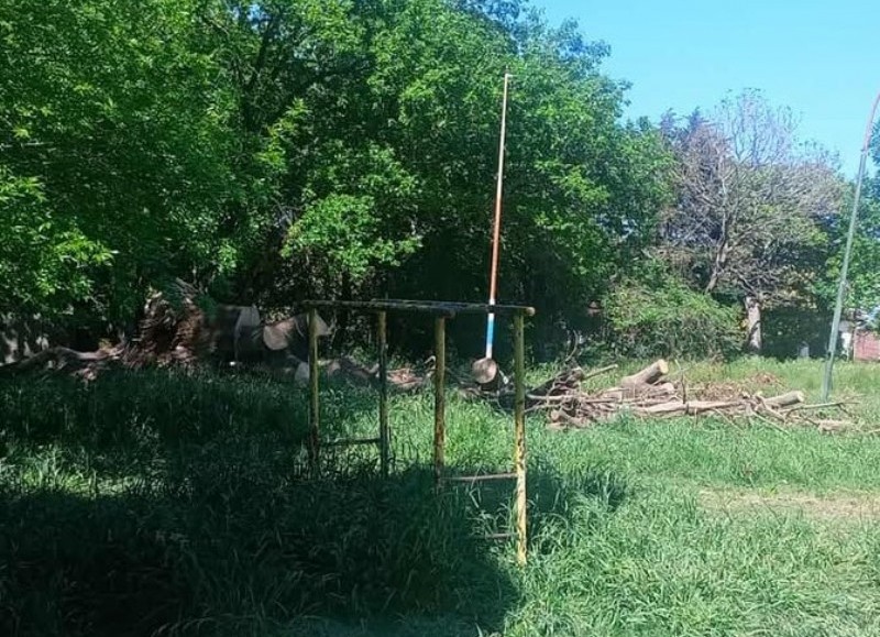 Asi lo dejaron