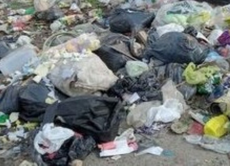 609 entre 1 y 115: La proliferación de basurales ya es un dolor de cabeza para la gestión
