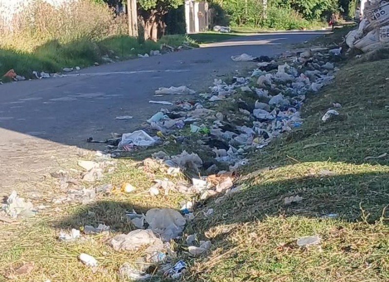 Villa Elvira amaneció replate de basurales producto del paro, el finde largo y malos vecinos