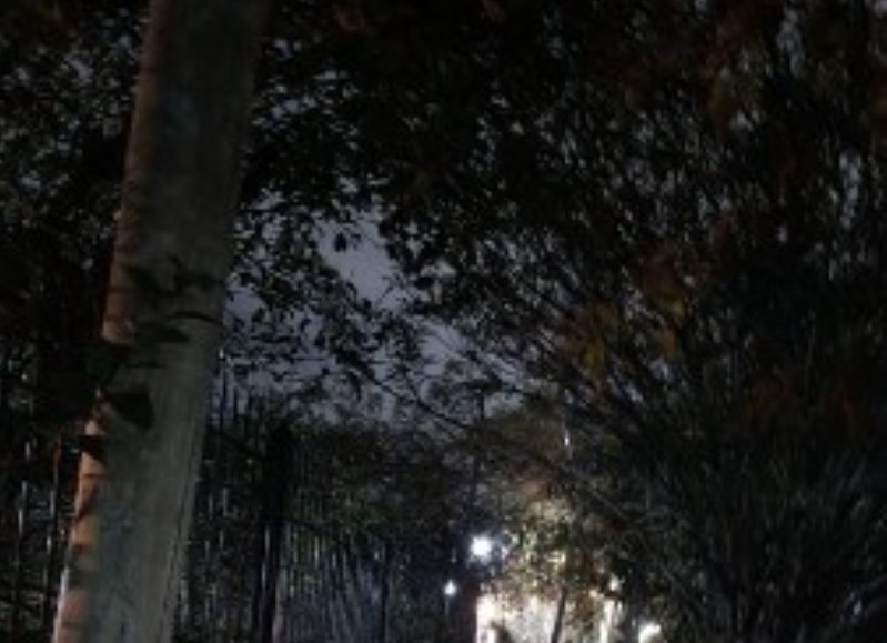 Sin luces en la cuadra se quejan de la inseguridad