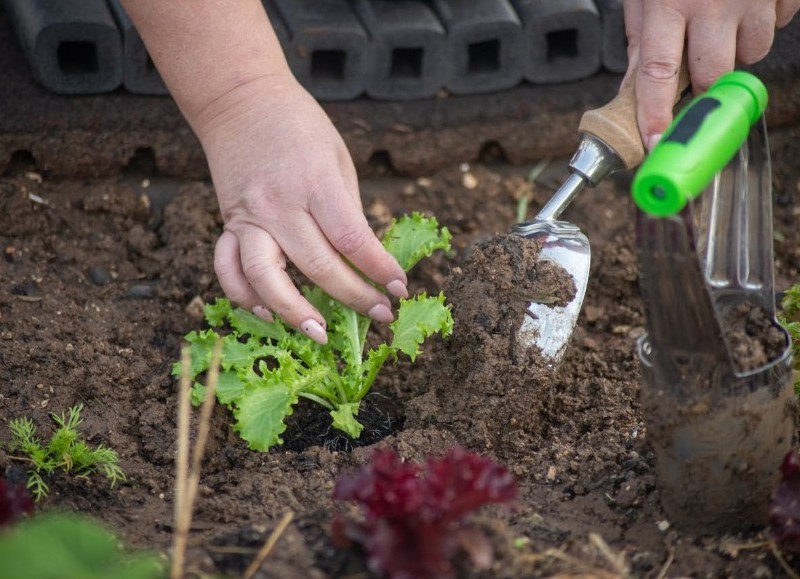 Capacitación en huerta y recorrido guiado en el Parque Ecológico Municipal