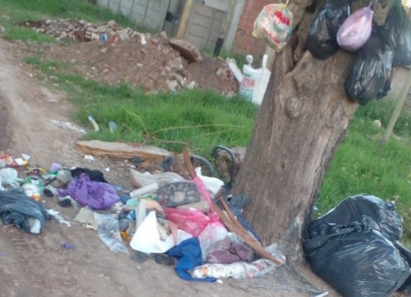 Los basurales: Un problema que complica a la gestión