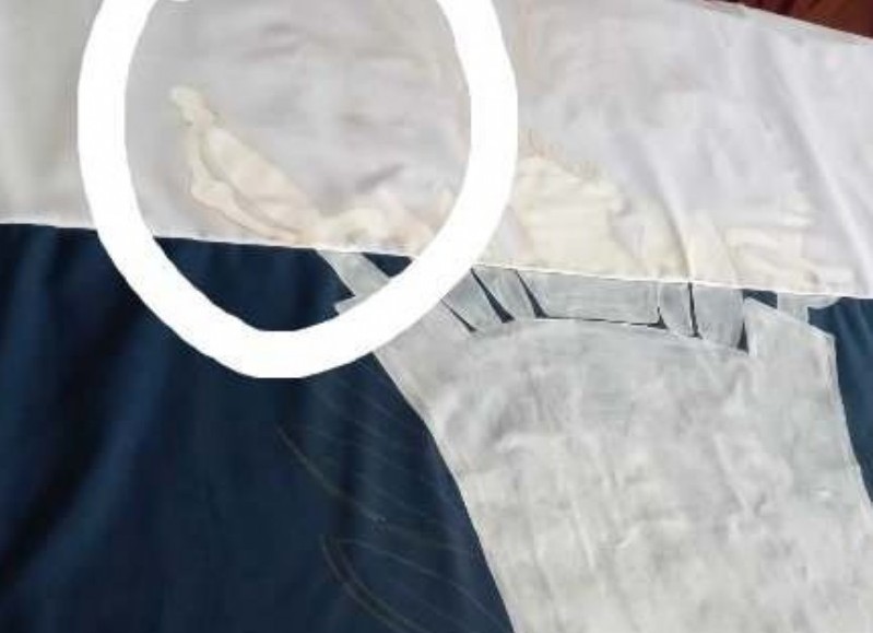La artista mostró el rostro que veía en la tela