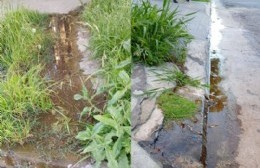 Barro y verdín en el Barrio de Salud