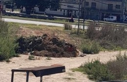 Producto de una limpieza: Vecinos piden que retiren montículo de basura