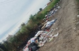 82 y 26: Frentistas piden erradicar un enorme basural