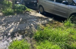 Denuncian tres pérdidas de agua en cien metros en el casco de Villa Elvira
