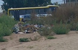 Un problema que no tiene resolución: Siguen los basurales en Ruta 11