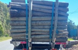 Demoran a camioneros que transportaban troncos sin permisos