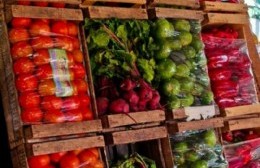 Verdulería "Los Primos" de 122 y 82: Te presenta sus precios, descuentos y ofertas