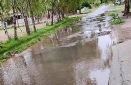Si esperan que llegue el frío: Seguro que sale algún pejerrey en calle inundada de Villa Alba