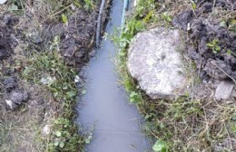 Lleva un mes sin agua sin que ABSA atienda su reclamo