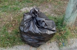 El Municipio trabaja en el Casco de Villa Elvira cortando pasto y haciendo limpieza