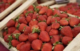 Con entrada gratuita, llega la primera Fiesta de la Frutilla al playón de Meridiano V