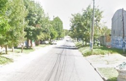 Oiga vecino: Por qué no me saca el árbol